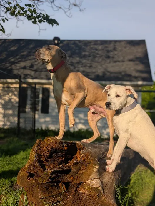 Boomer Veterinary Hospital Picture 2