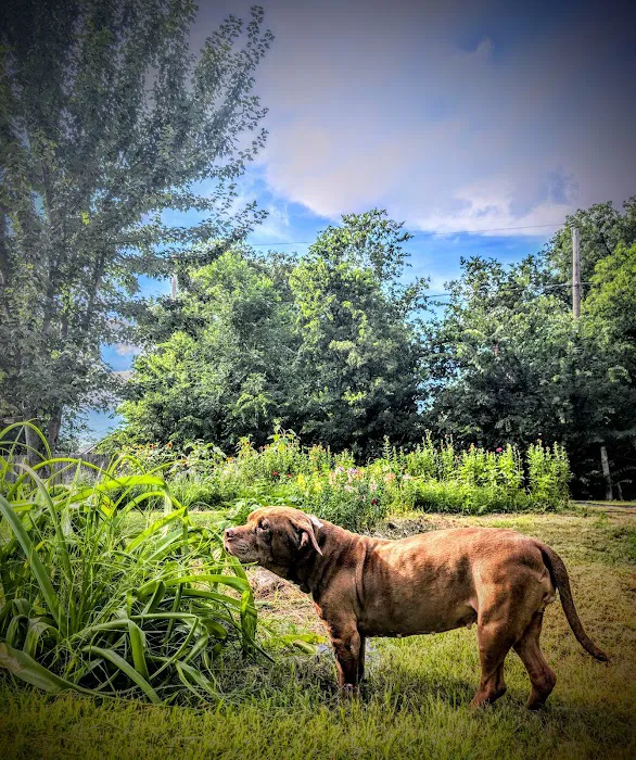 Boomer Veterinary Hospital Picture 3