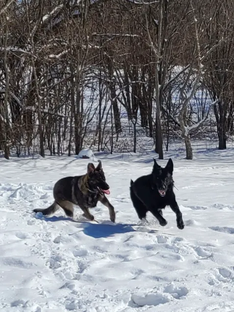 Boomer Veterinary Hospital Picture 7