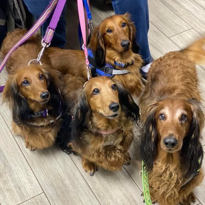 Boomer Veterinary Hospital Picture 8