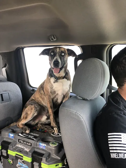 Boomer Veterinary Hospital Picture 10