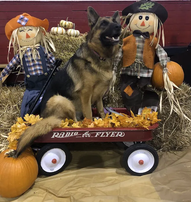 Westwood Veterinary Hospital Picture 2