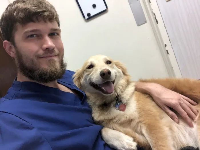 Westwood Veterinary Hospital Picture 1