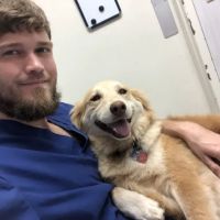Westwood Veterinary Hospital ico