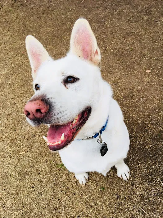 Westwood Veterinary Hospital Picture 4