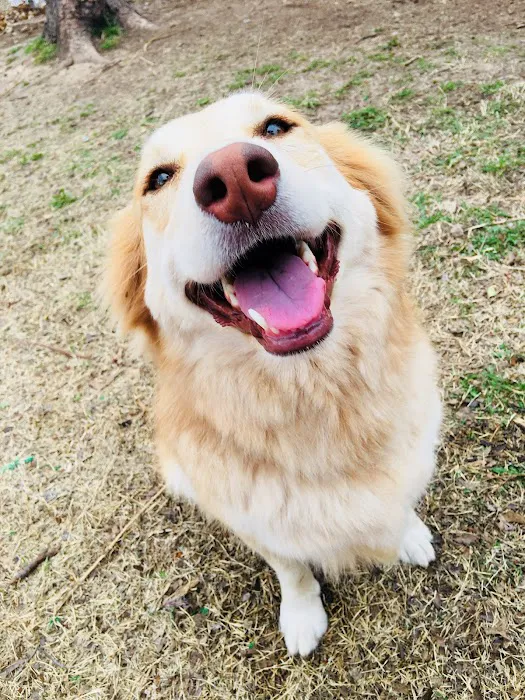 Westwood Veterinary Hospital Picture 5