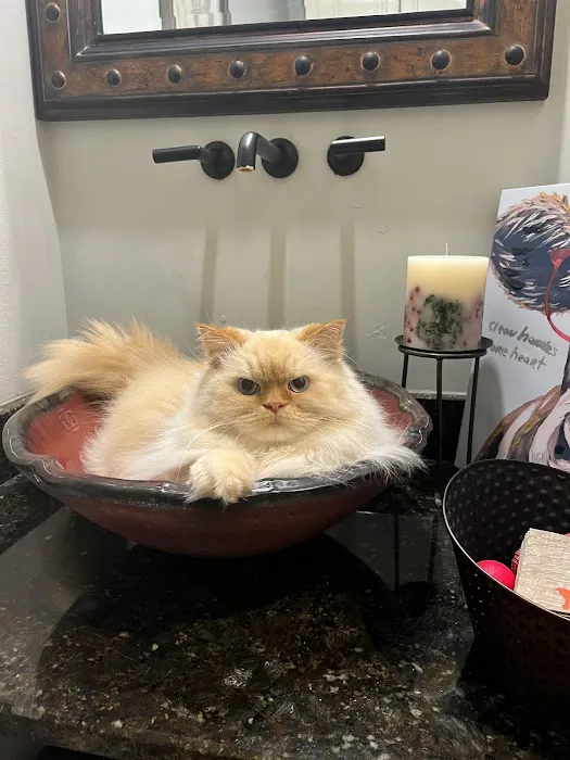 Westwood Veterinary Hospital Picture 7