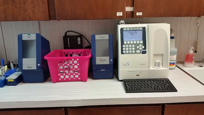 Westwood Veterinary Hospital Picture 8