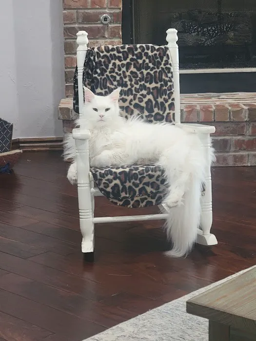 McGee Street Animal Hospital Picture 2