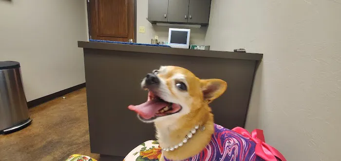 McGee Street Animal Hospital Picture 1