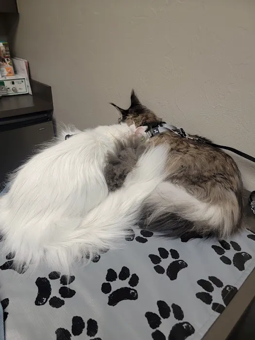 McGee Street Animal Hospital Picture 8