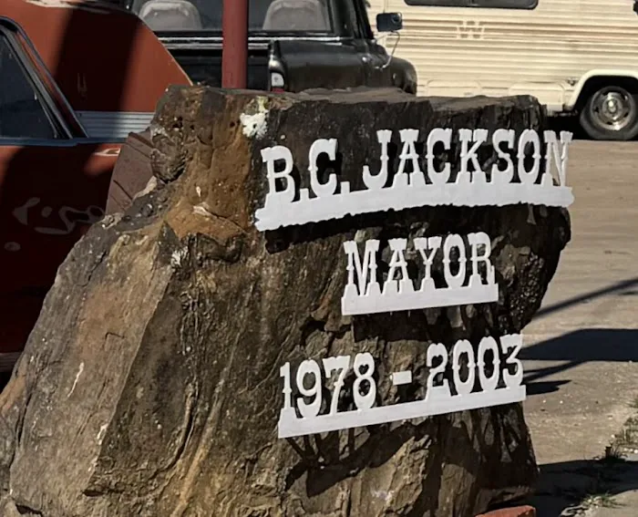 Golay Cody D DVM Picture 2