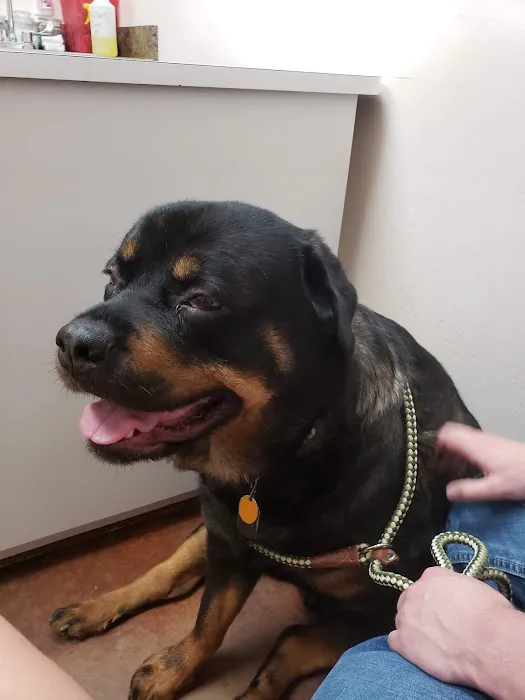 White Oaks Veterinary Clinic Picture 1