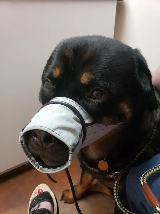 White Oaks Veterinary Clinic Picture 2