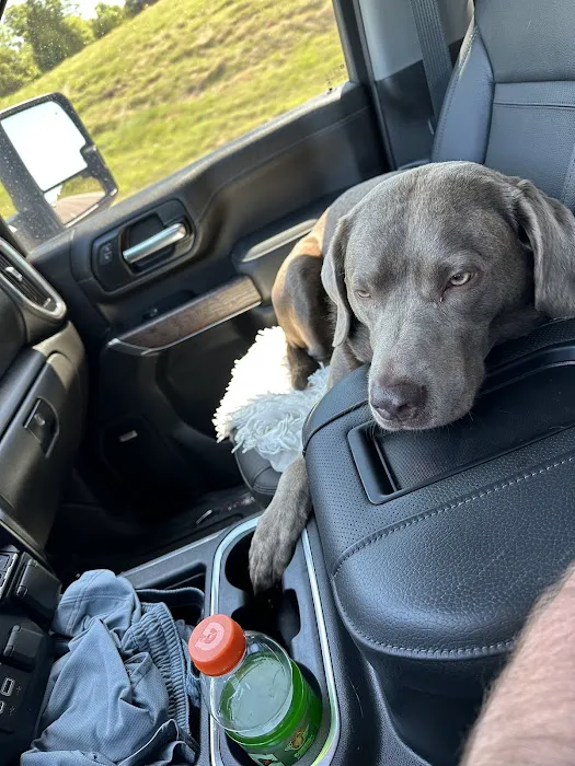 White Oaks Veterinary Clinic Picture 3