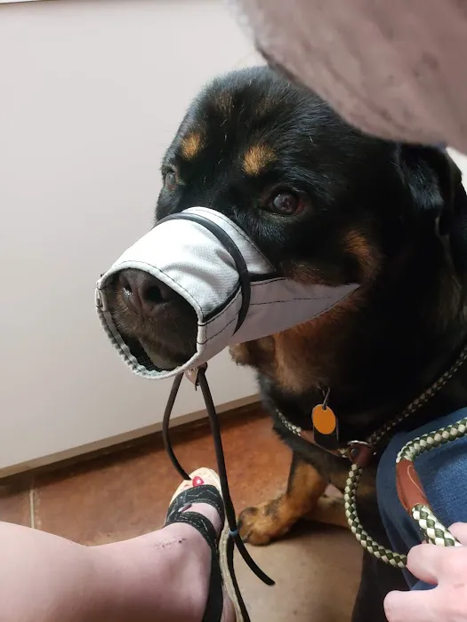 White Oaks Veterinary Clinic Picture 4