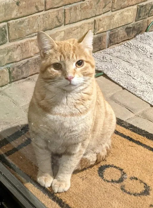 White Oaks Veterinary Clinic Picture 6