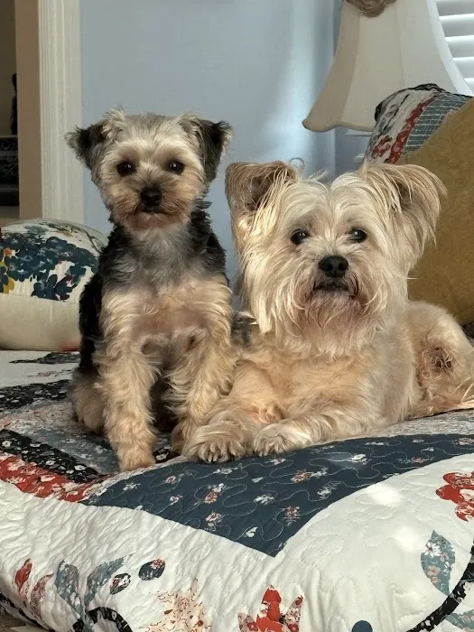 White Oaks Veterinary Clinic Picture 8