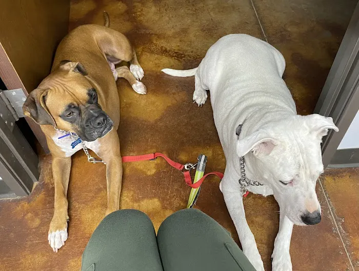 White Oaks Veterinary Clinic Picture 7