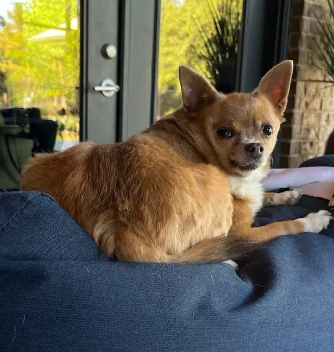 Woodland Trails Animal Hospital Picture 2