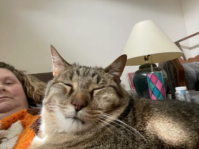 Woodland Trails Animal Hospital Picture 4