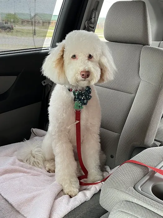 Woodland Trails Animal Hospital Picture 3