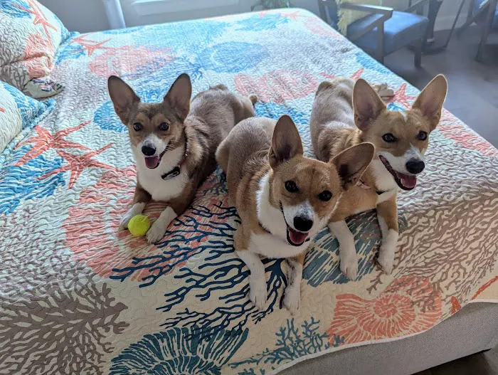 Woodland Trails Animal Hospital Picture 6