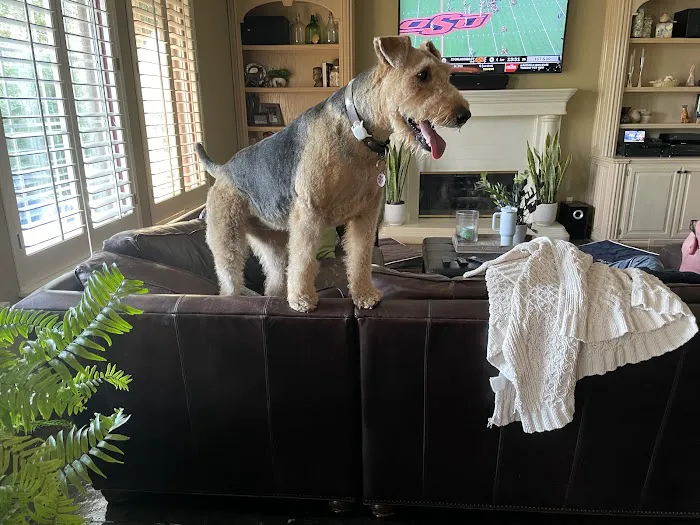 Woodland Trails Animal Hospital Picture 5