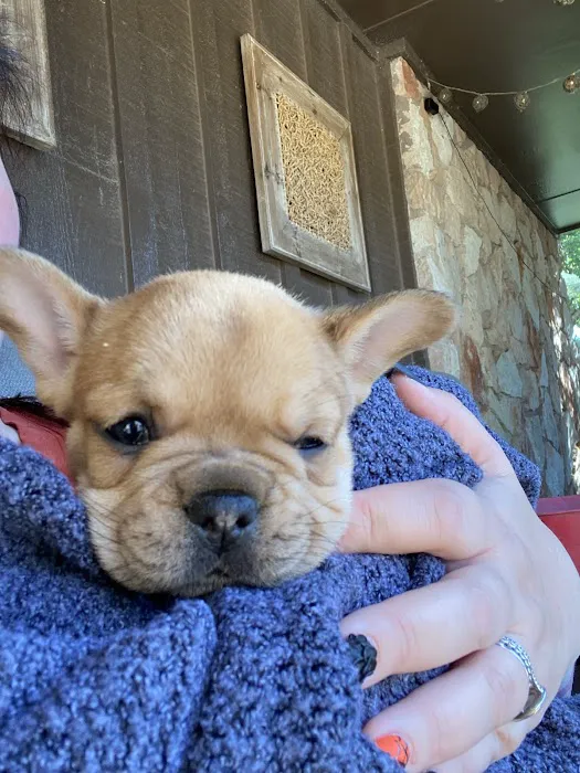 Woodland Trails Animal Hospital Picture 8