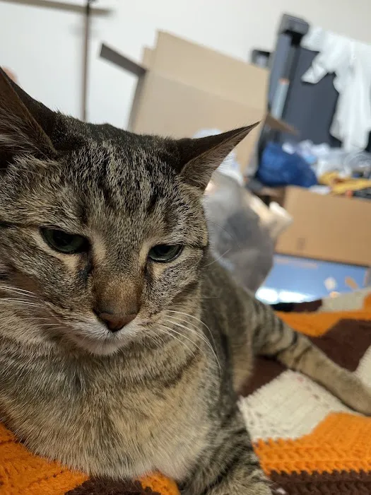 Woodland Trails Animal Hospital Picture 7