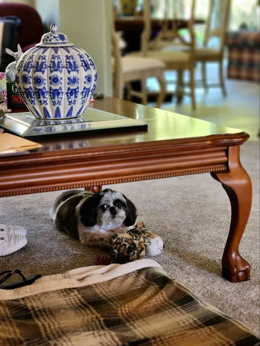 Woodland Trails Animal Hospital Picture 9