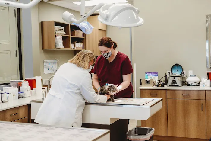 Woodland Trails Animal Hospital Picture 10