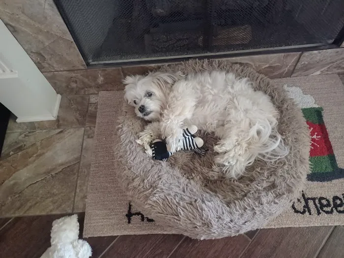 Acre View Pet Hospital PLLC Picture 7