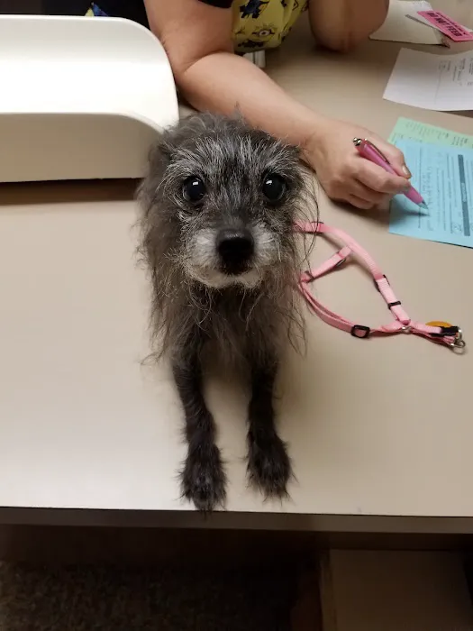 Acre View Pet Hospital PLLC Picture 10