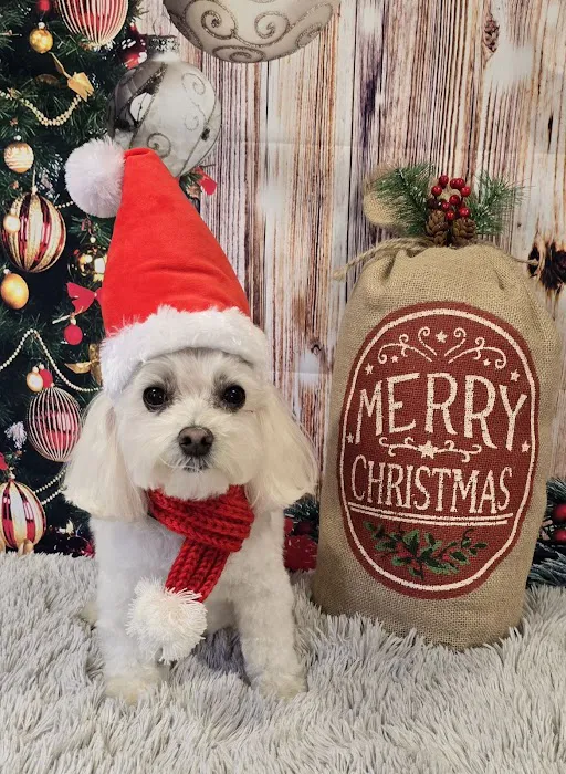 Pampered Pets Veterinary Clinic & Spa Picture 4