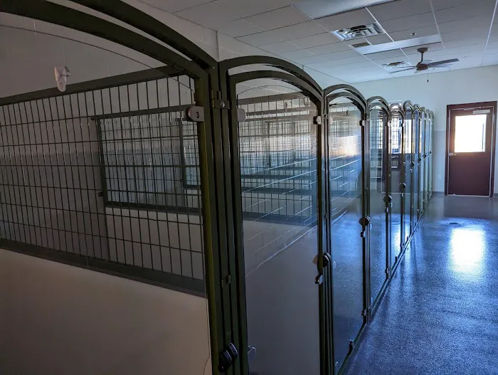 Pampered Pets Veterinary Clinic & Spa Picture 8