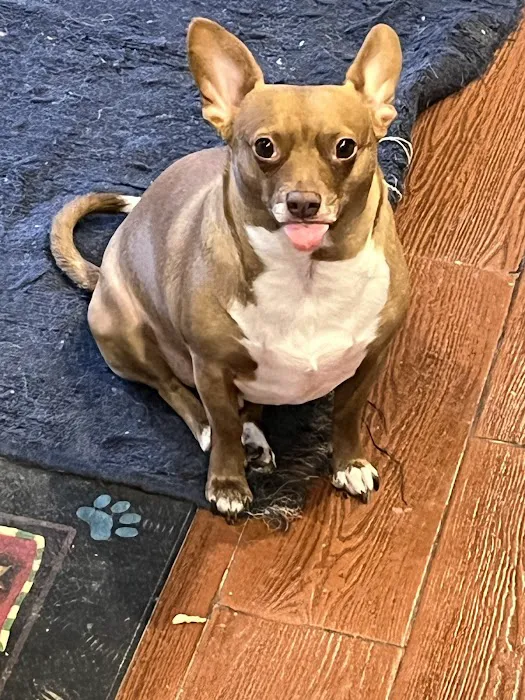 Memorial Road Pet Hospital Picture 2