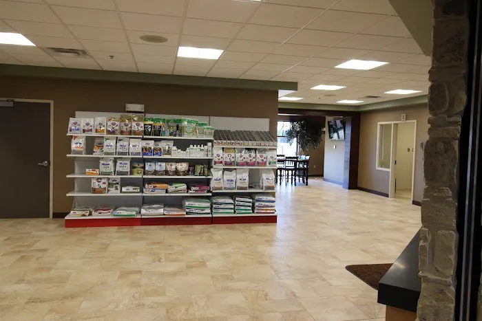 Memorial Road Pet Hospital Picture 3