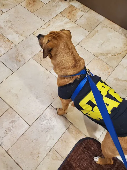 Memorial Road Pet Hospital Picture 5