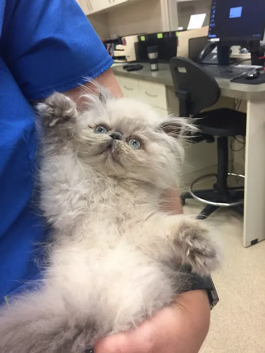 Memorial Road Pet Hospital Picture 7