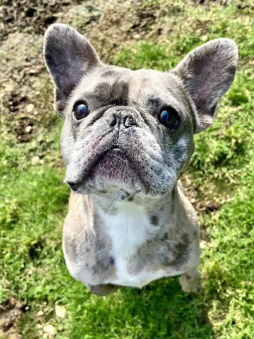 Memorial Road Pet Hospital Picture 10