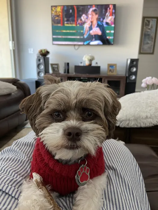 Neighborhood Veterinary Services Picture 2