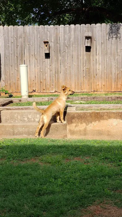 Neighborhood Veterinary Services Picture 6