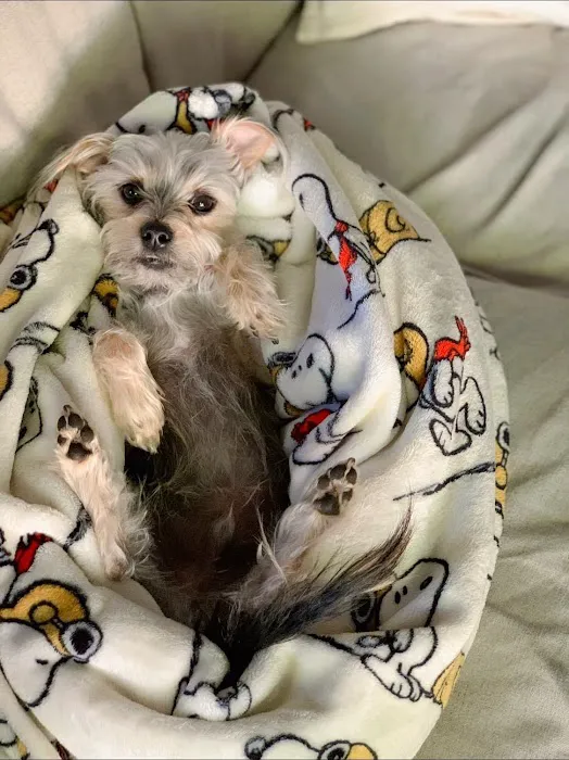 Neighborhood Veterinary Services Picture 4