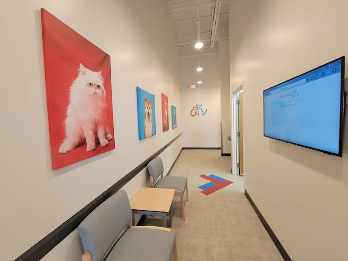 UrgentVet Picture 10