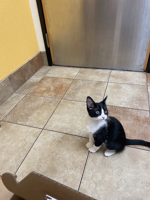 Banfield Pet Hospital Picture 1