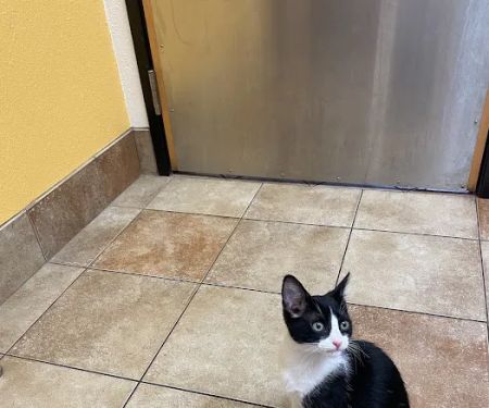 Banfield Pet Hospital