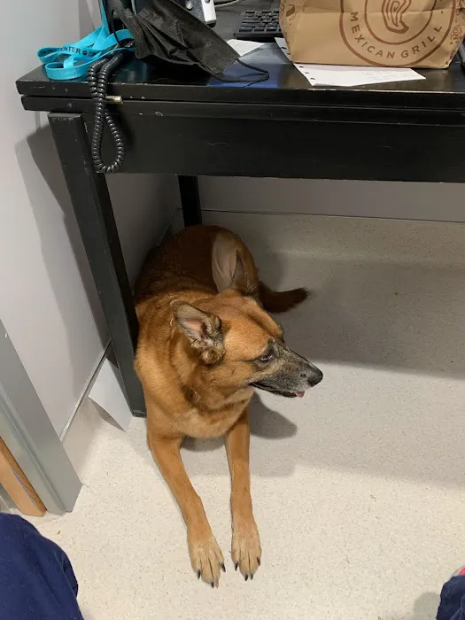 Banfield Pet Hospital Picture 3