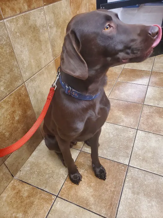 Banfield Pet Hospital Picture 4