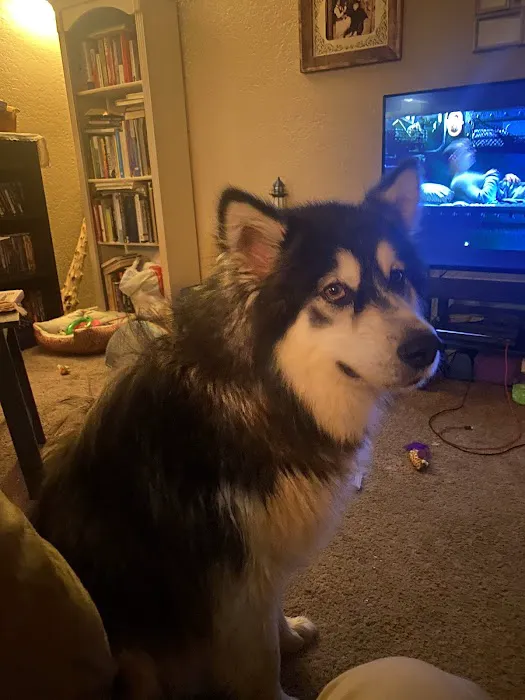 Banfield Pet Hospital Picture 7